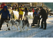OK-DSC_3597.jpg