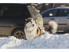 OK-DSC_3705.jpg