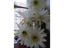 DSCN0049.JPG