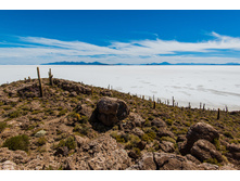 bolivia039.jpg