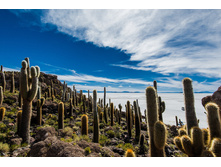 bolivia043.jpg
