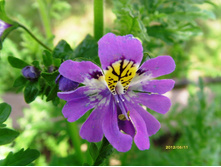 S73R1330.JPG