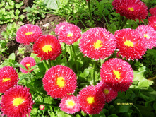 S73R1334.JPG