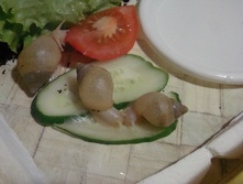DSC02789.JPG