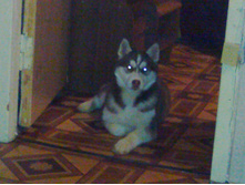 27022012021.jpg