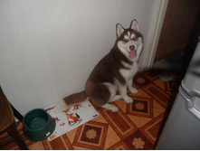 SAM_7038.JPG