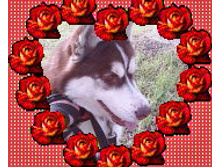 Photo-0012.jpg
