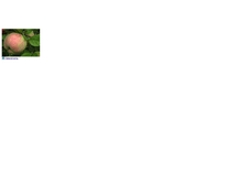 ������ ������� -163+%.png