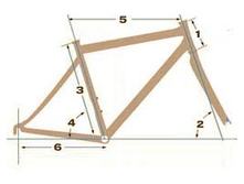 45604067-images (1).jpeg