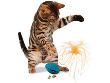 entirelypets_2196_1333788135.jpg