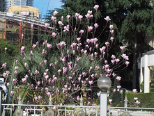 20130308_112341.jpg