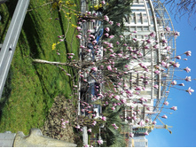 20130308_112415.jpg