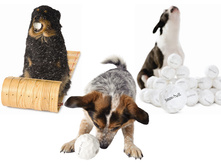 entirelypets_2191_130966171.jpg