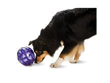 entirelypets_2196_2066732170.jpg