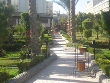 ������ 2012 082.jpg