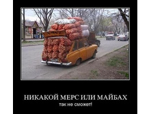 08.jpg