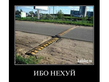 x_d480b6ef.jpg