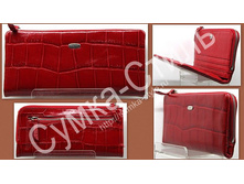 id-22152-12540-primavera-770p-95x20-red-2ed69013.jpg