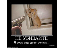04.12.2009 13:18:47