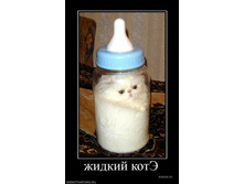 04.12.2009 13:19:13