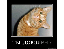 04.12.2009 19:09:49