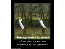04.12.2009 19:12:13