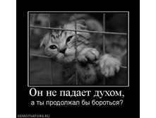 04.12.2009 19:12:19