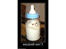 04.12.2009 19:12:46
