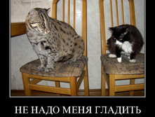 04.12.2009 19:13:41