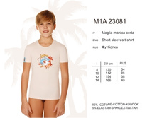 M1A23081.jpg