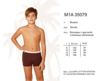 M1A35079.jpg