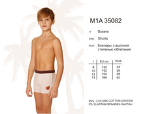 M1A35082.jpg