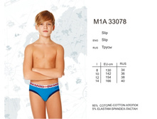 M1A33078.jpg