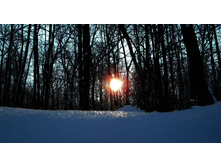 DSCN7945.jpg