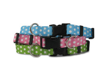 yd_whtpolka_stack_300.jpg