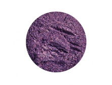 Purple Iris.jpg
