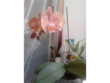����0478.jpg