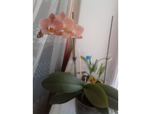 ����0479.jpg