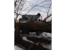 DSCF2151.JPG