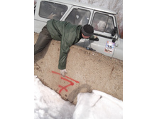 DSCF2167.JPG