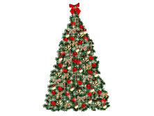 08.12.2009 8:48:45
