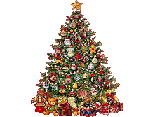 08.12.2009 8:49:05