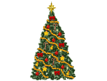 08.12.2009 8:49:21