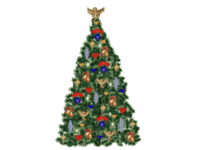 08.12.2009 8:49:23