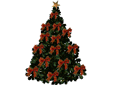 08.12.2009 8:50:39