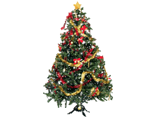 08.12.2009 8:51:03