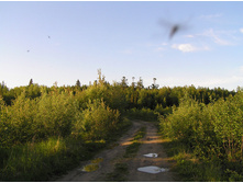 P1010453.jpg