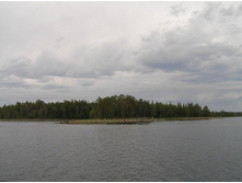 P1010595.jpg