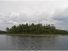 P1010597.jpg