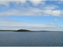 P1010783.jpg